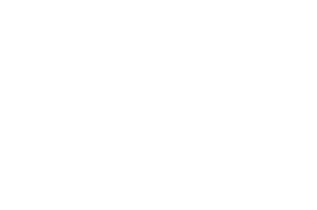 OFFICIAL SELECTION - ECOCINE International Environmental and Human Rights Film Festival - Brazil - 2025